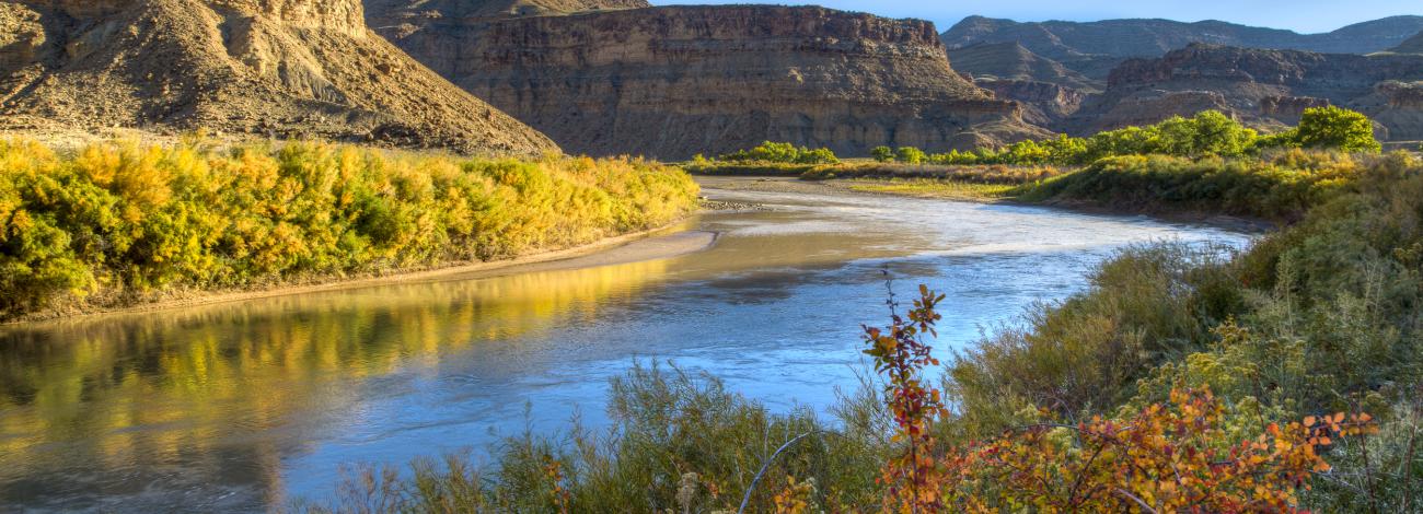 Landscape with a river, bushes, and mesas