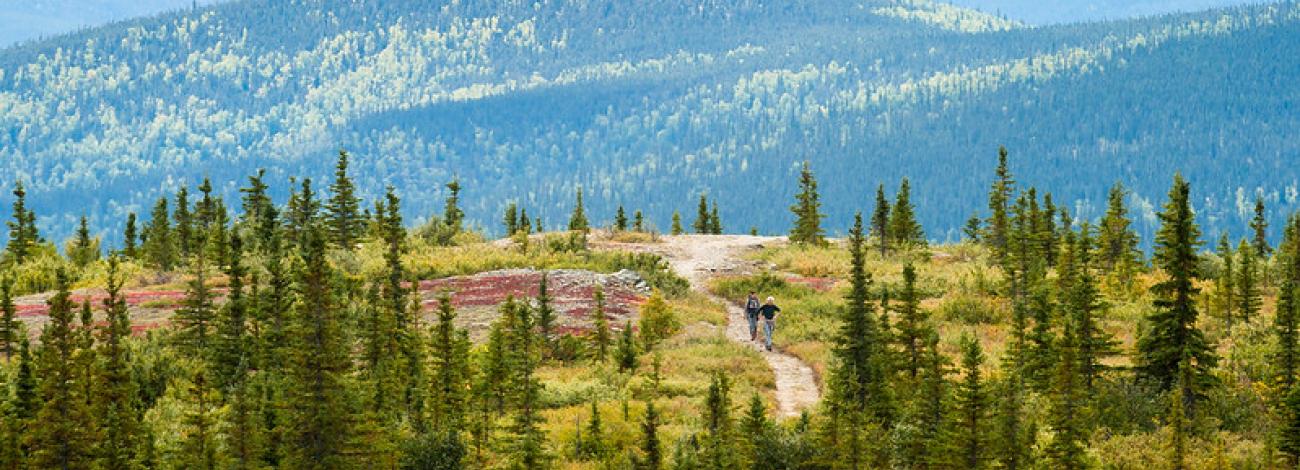Two hikers enjoy early fall colors on the Summit Trail near the Wickersham Dome Trailhead, White Mountains National Recreation Area, Alaska.