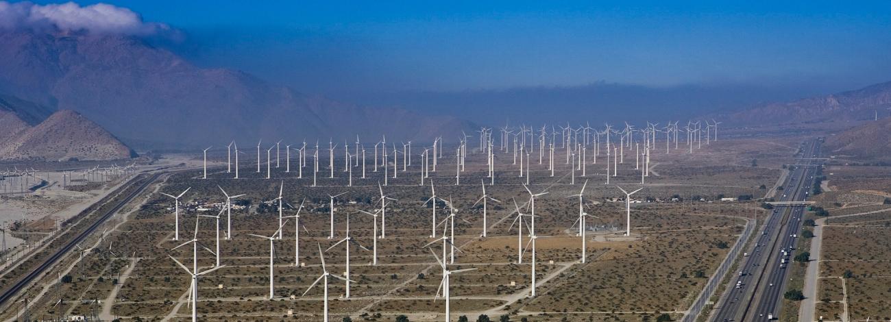 Renewable Energy Development in the California Desert