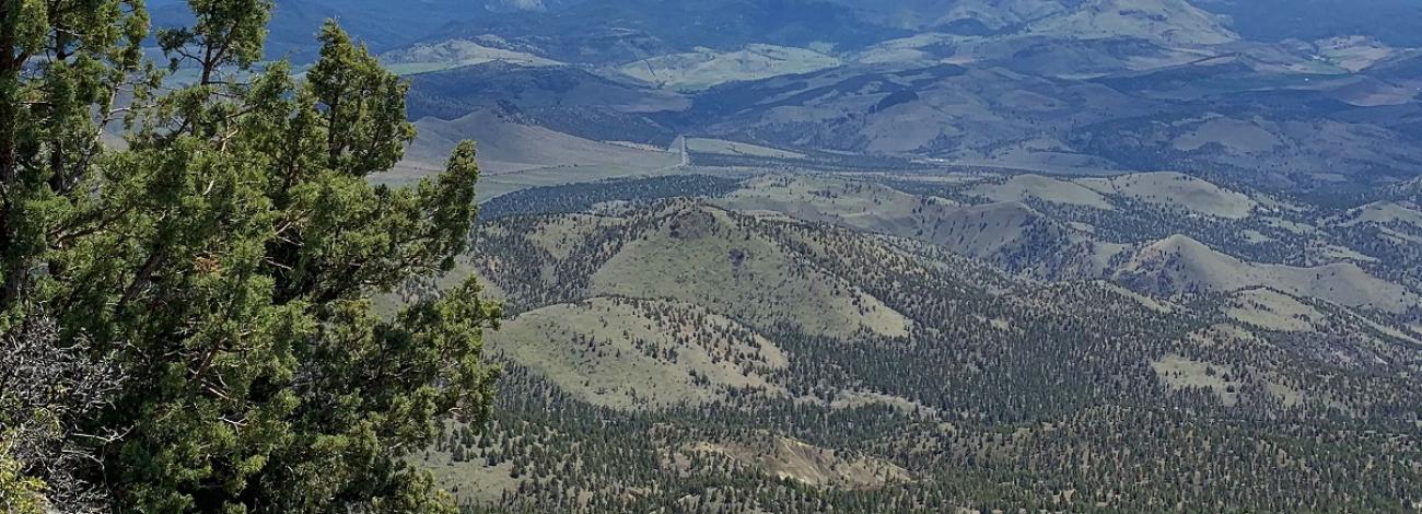 landscape photo showing sky, mountains, and trees