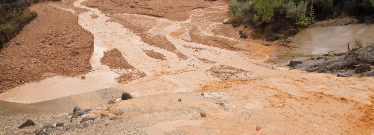 Dirt road flooding with water with minimal vegetation.