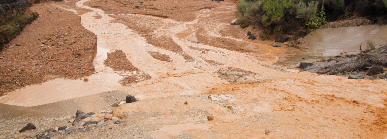 Dirt road flooding with water with minimal vegetation. 