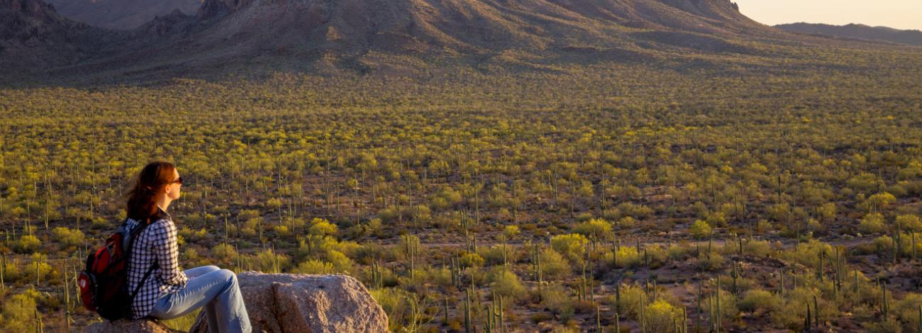 A woman views a desert landscape in the Ironwood National Forest.