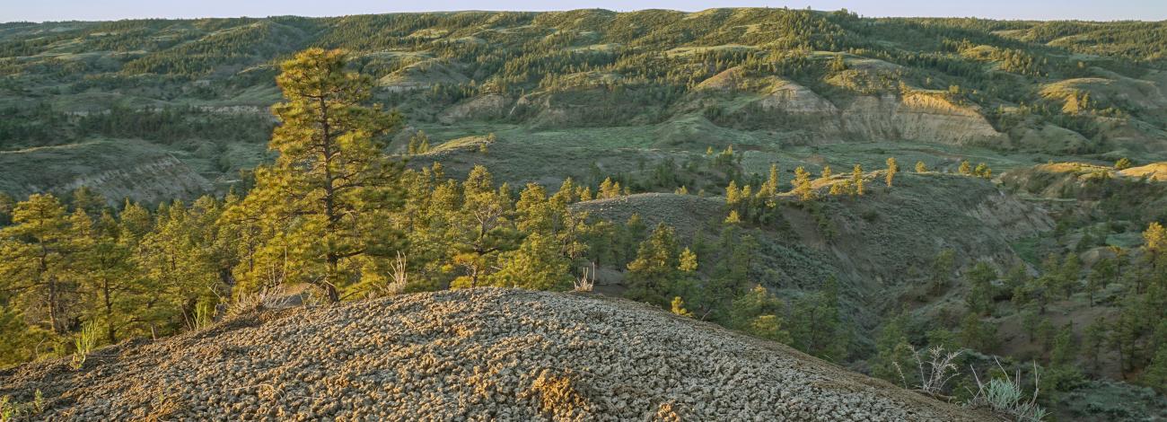 panoramic view of cow creek with a valley in the back and tree on left side of photo