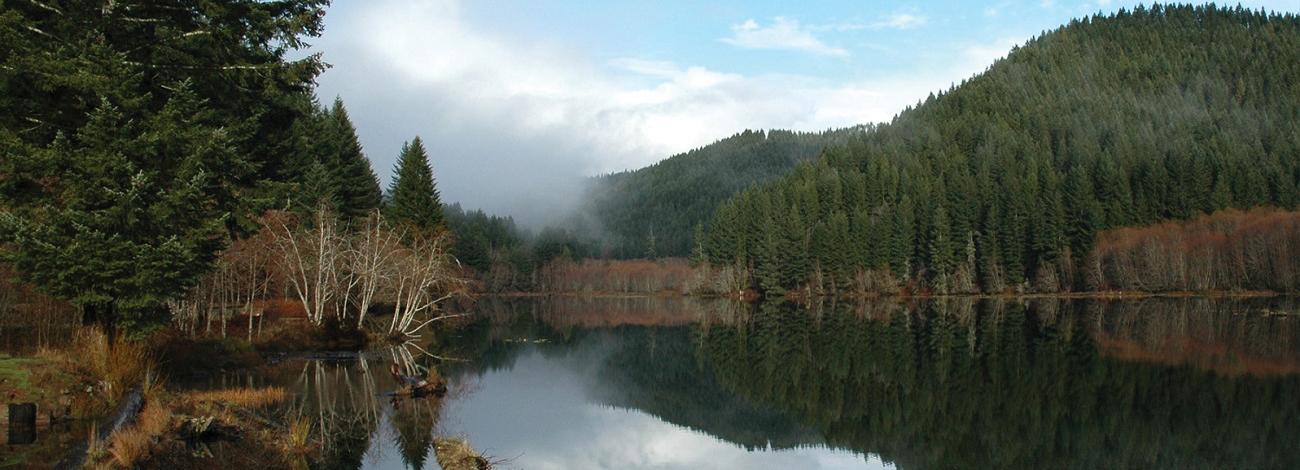 landscape photo of Hult Dam showing trees and water