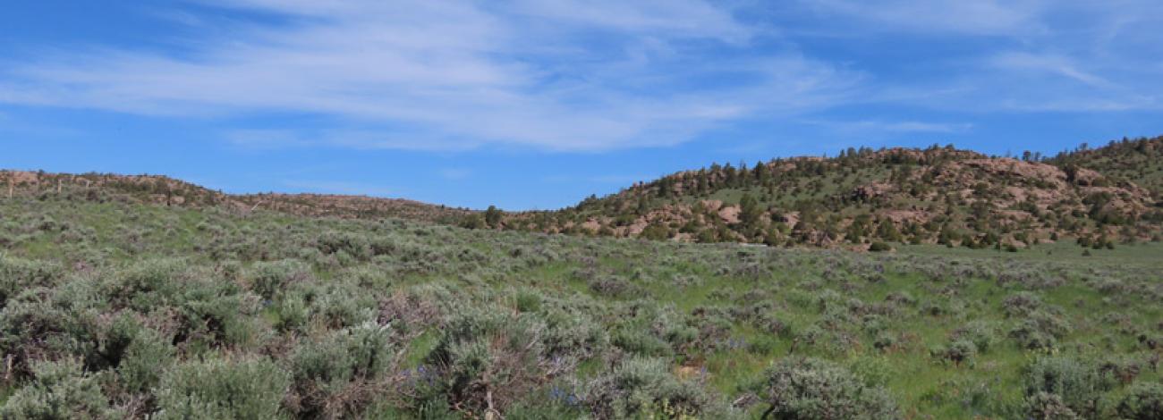 Photo of southeast Wyoming land exchange
