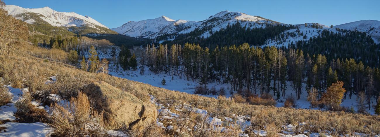 snow dusted mountains with blue skies and yellow field with snow.