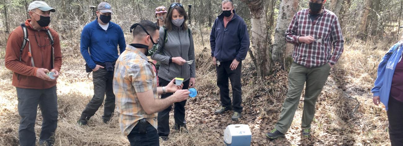 Alaska Citizen Science Volunteers working on pollinators project