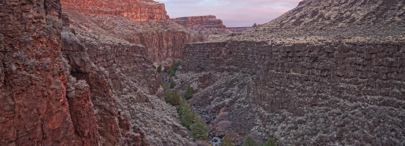 Middle of a red rock canyon with small creek in valley with conifer trees linking the river bank