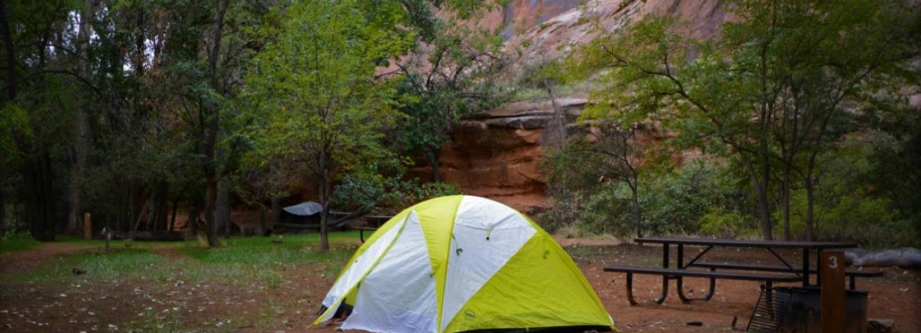 Tent at a campsite with trees and mountains in the background. 