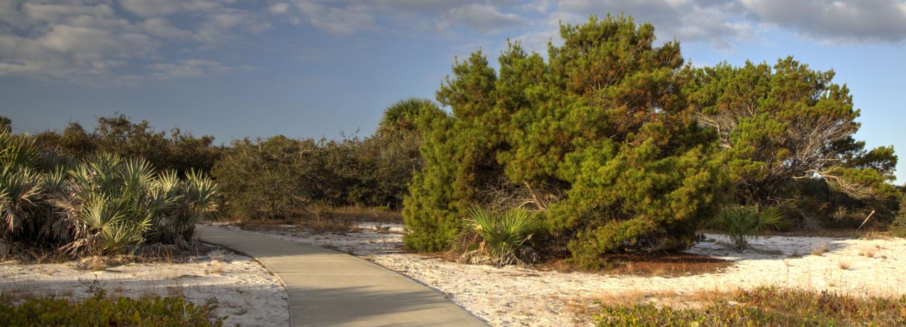 pathway in the Outstanding Natural Area