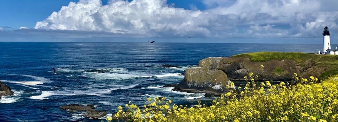 cliffside lighthouse with ocean waves and sky