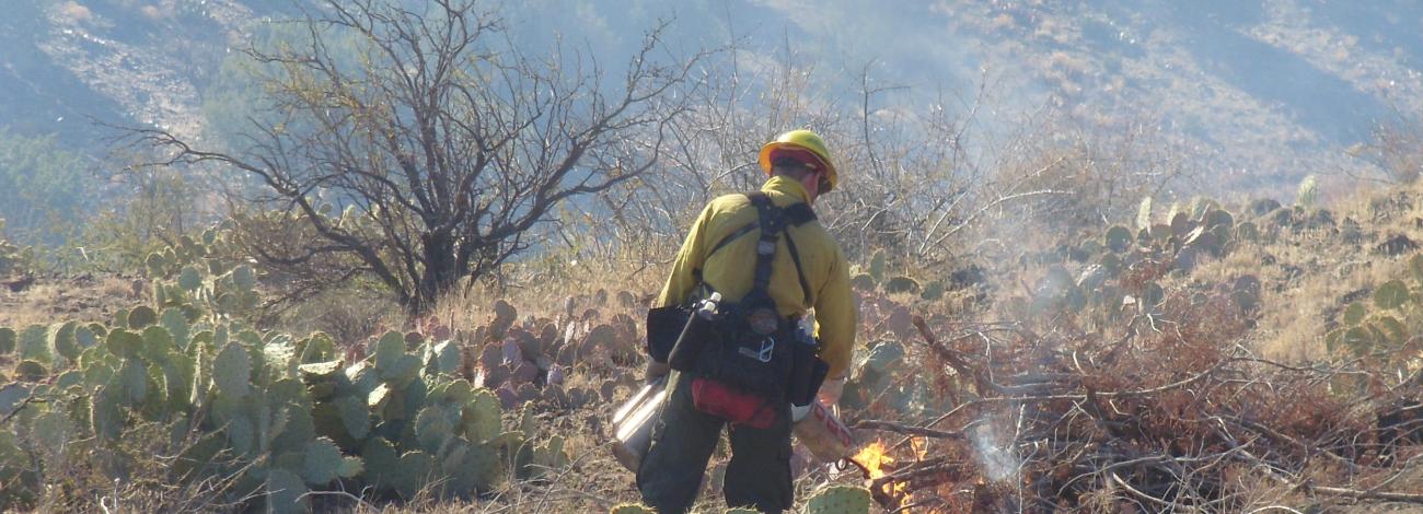 a firefighter ignites a brush pile in a desert landscape