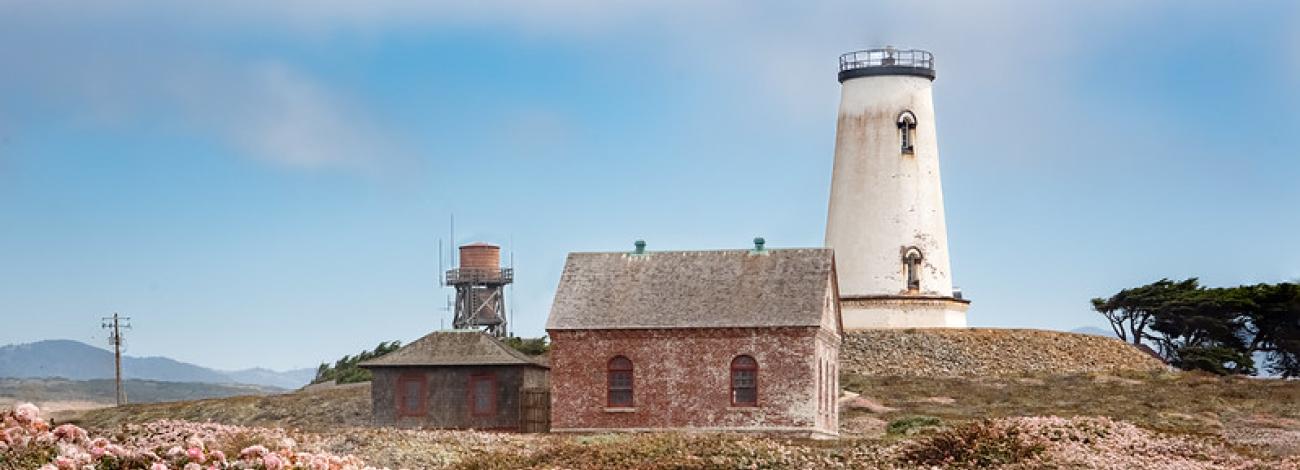 Lighthouse in a field of pink flowers