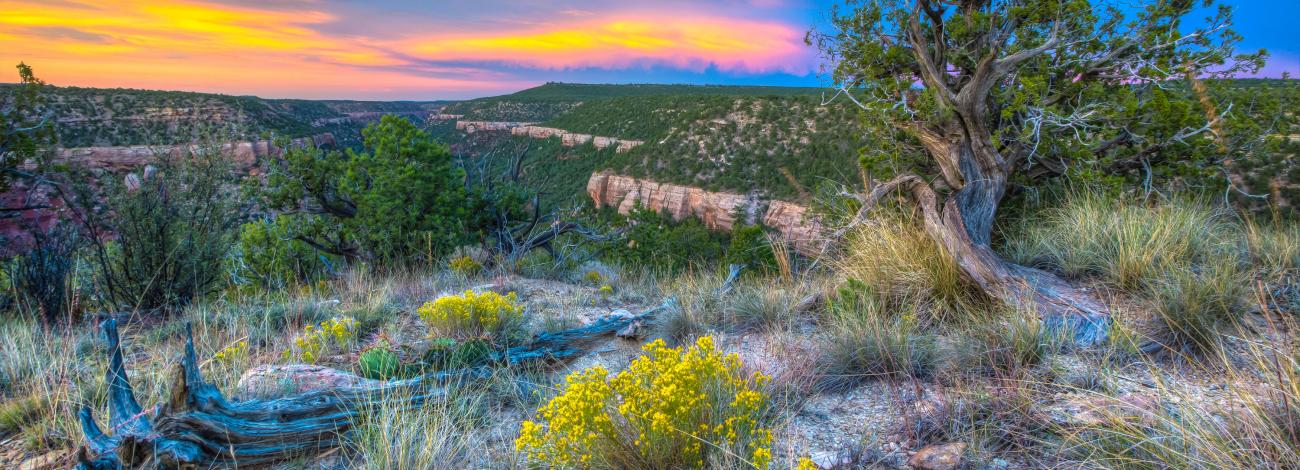 Sabinoso Wilderness New Mexico.