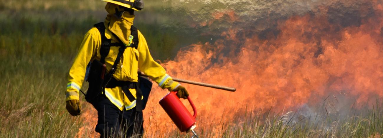 Fire Fighter conducts Controlled Burn
