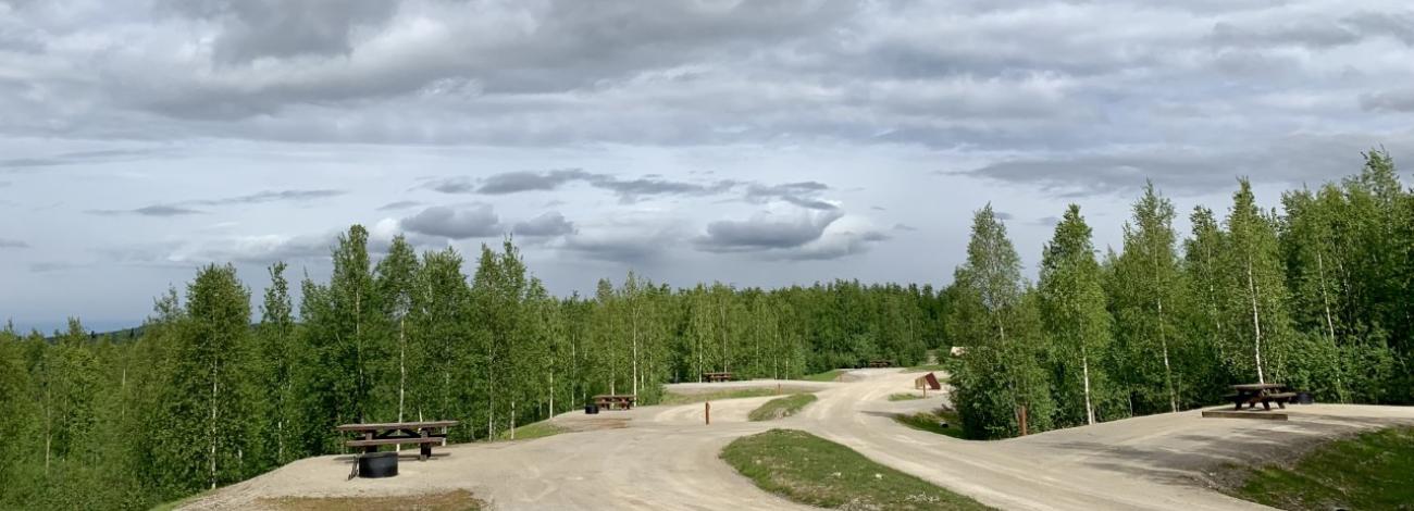 The gravel sites of the campground are surrounded by birch trees.