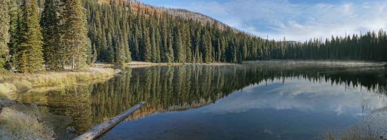 mirrored lake with pine trees on the edge of the water on a blue sky day.