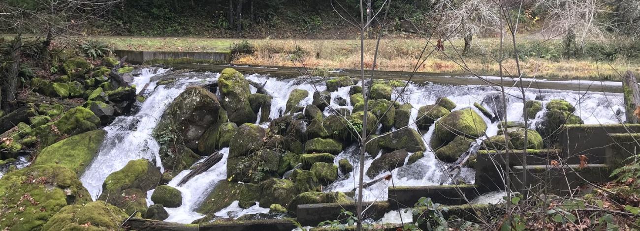 image showing water tumbling over a rocky dam with vegetation 