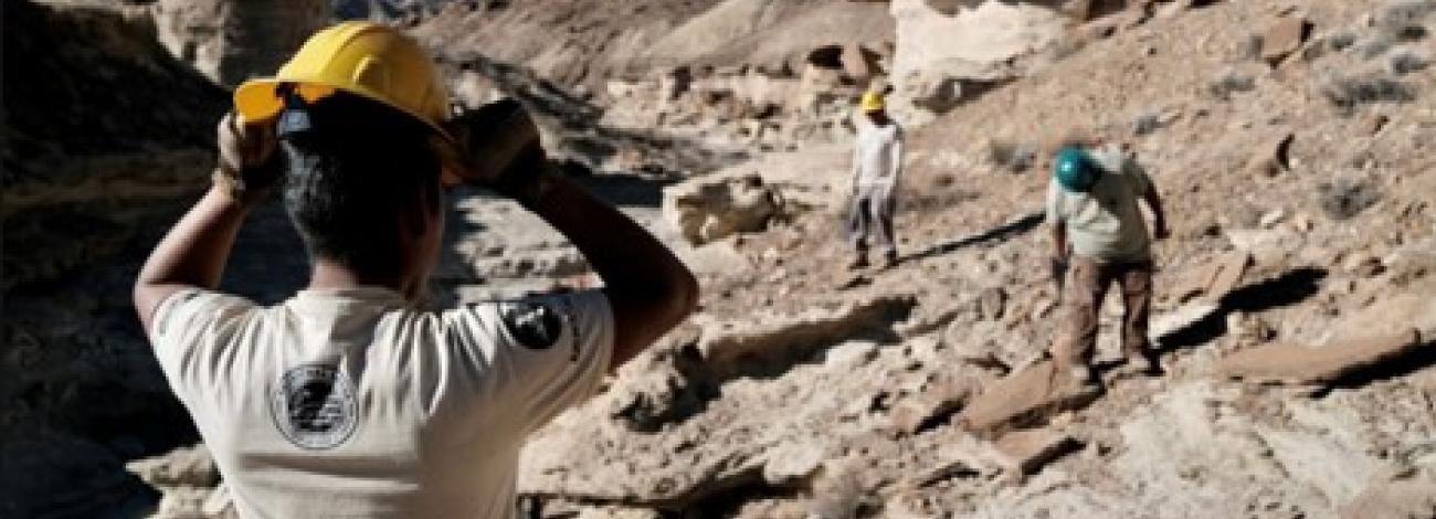 Students in the field of rocks