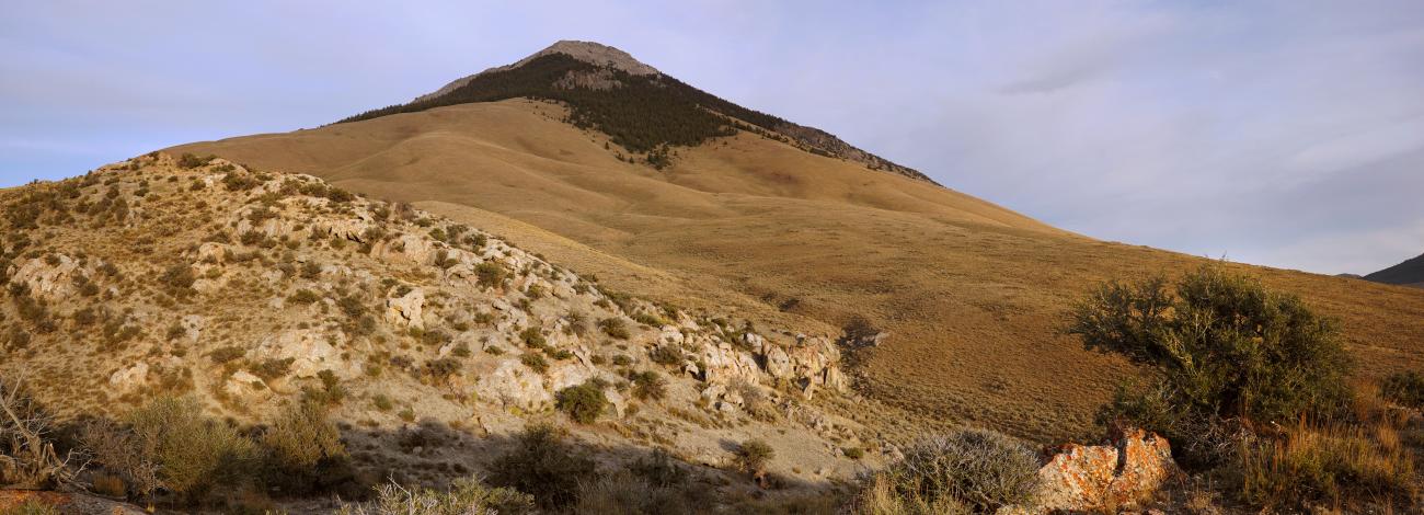 Tan mountain with shrubbery in forefront. Top of hill consists of dark green shrubs.
