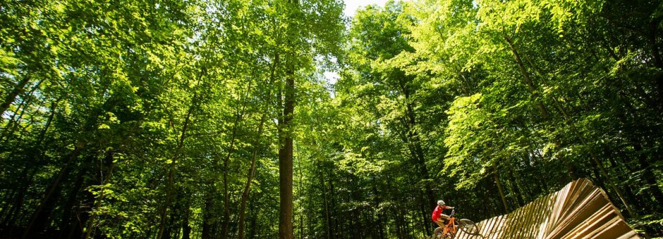 A person riding a mountain bike over a curved wooden platform.