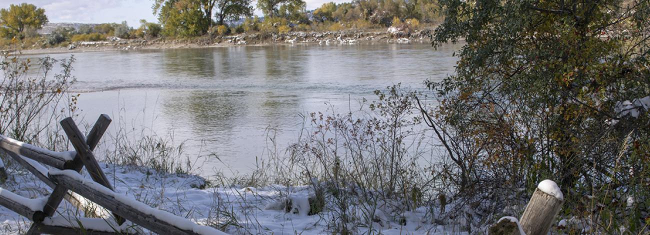 Snow covered wooden fence runs along side the bank of a river. Trees and shrubs are seen in the distance.