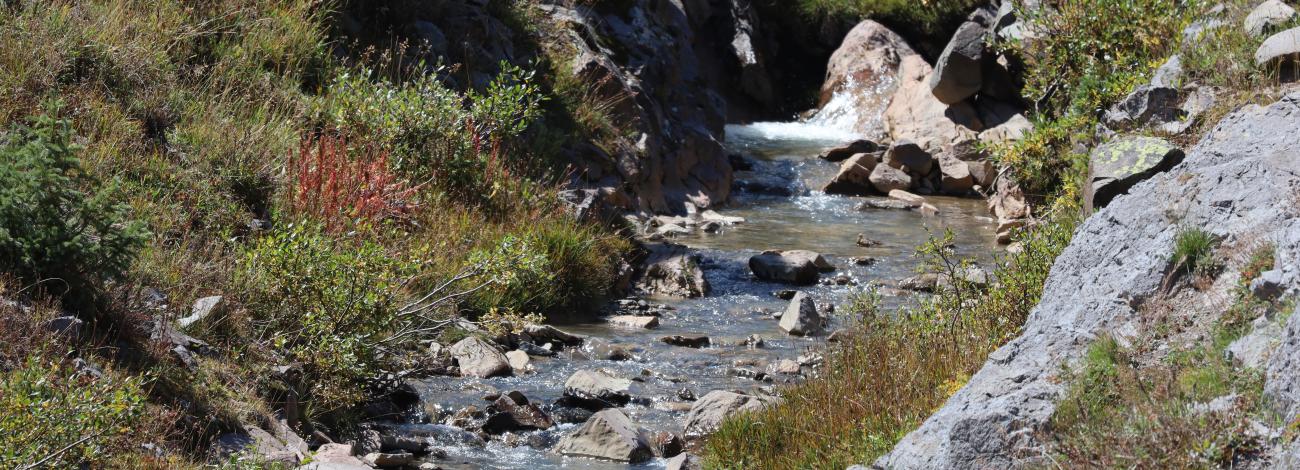 A stream flowing down a river.