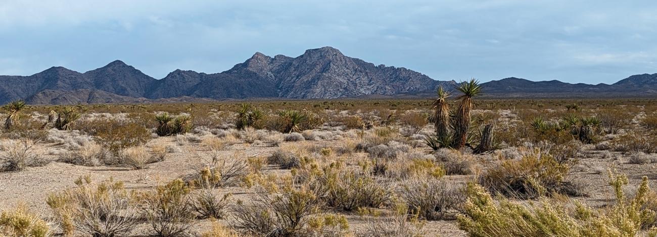 View of Avi Kwa Ame National Monument and Spirit Mountain.