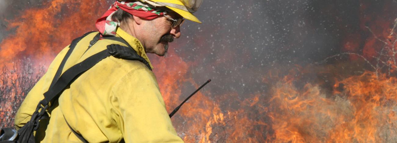 Steve Daly on RX Fire