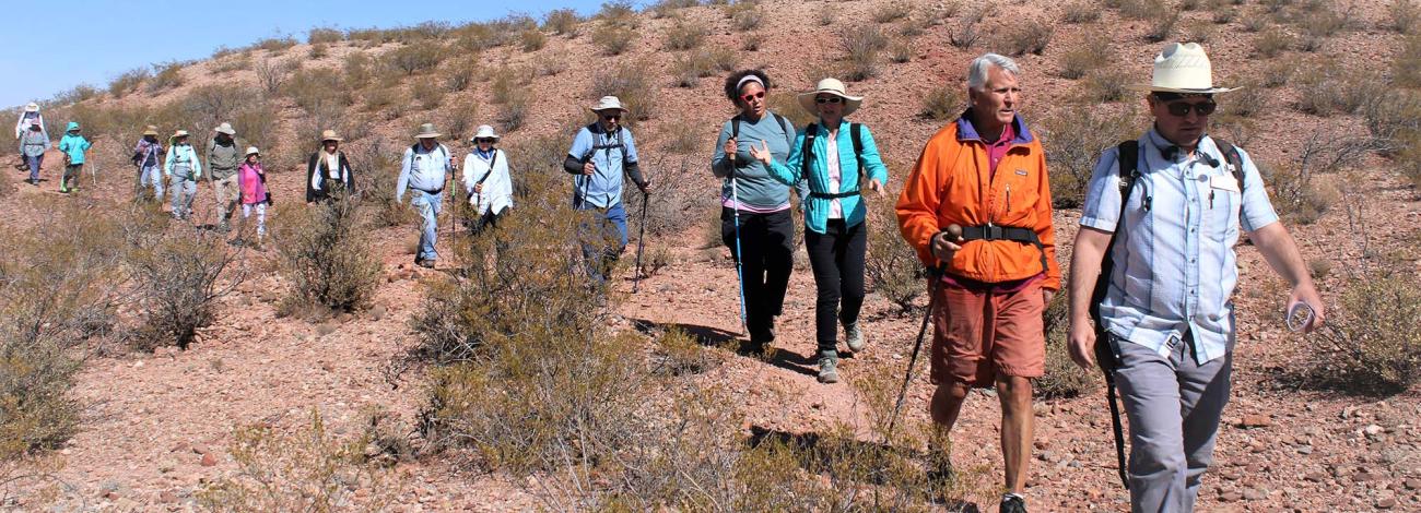 Visitors on a guided hike in the Las Cruces District Office