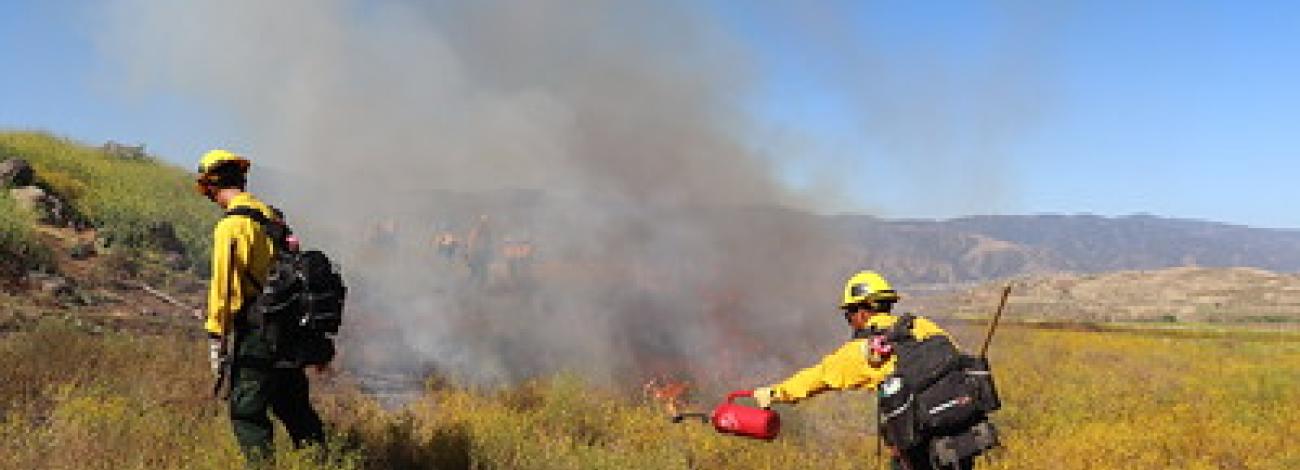 Fire crews on a prescribed fire