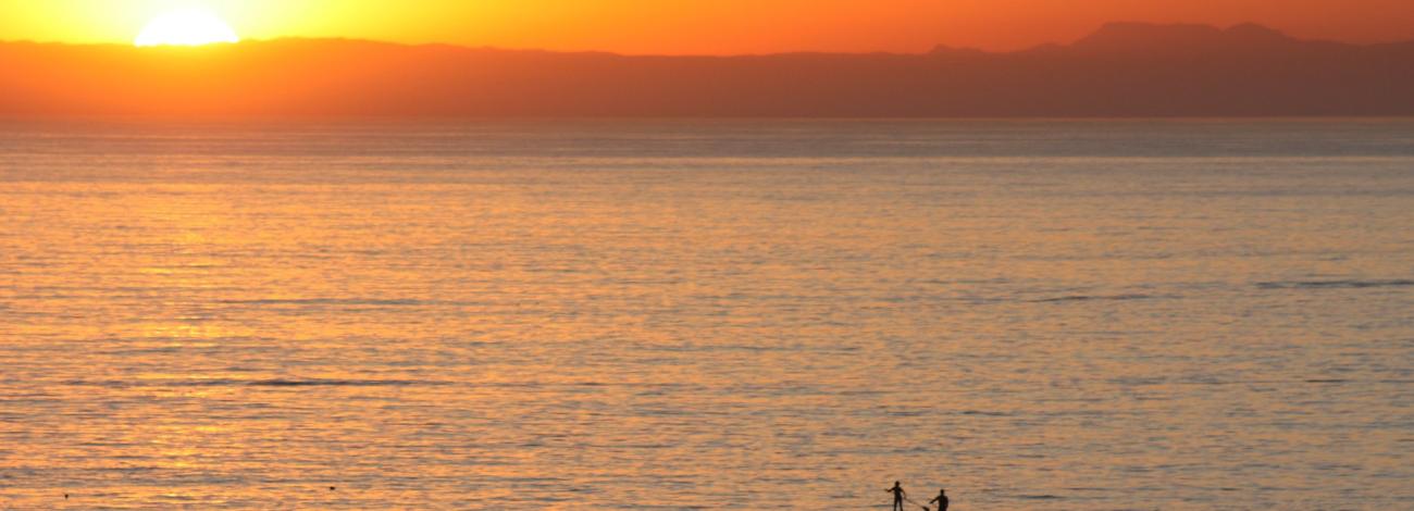 Two paddle boarders at sunset on the ocean.