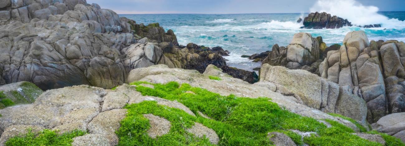Waves crash at the end of point pinos