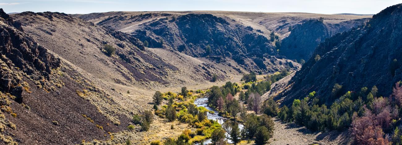 landscape portrait with river running through a valley and yelly and green foliage lining the winding riverbank between mountains.