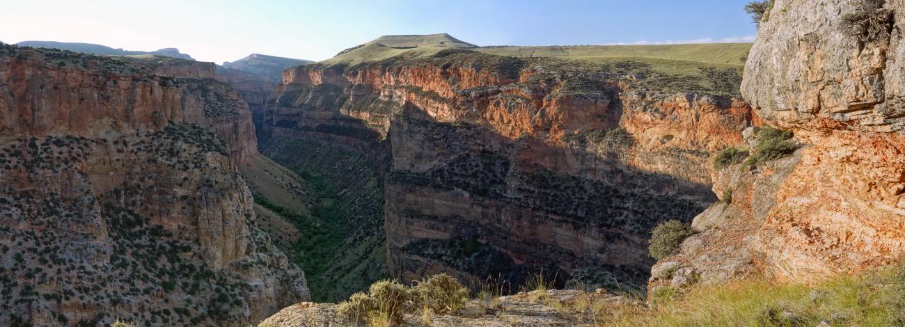 red and orange rock canyon with patches of green shrubbery 