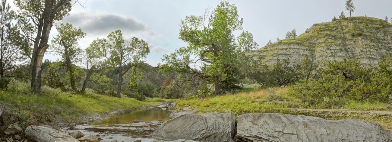 Lush green creek bed with shale rocks and sparsely vegetated hill side with hints of green