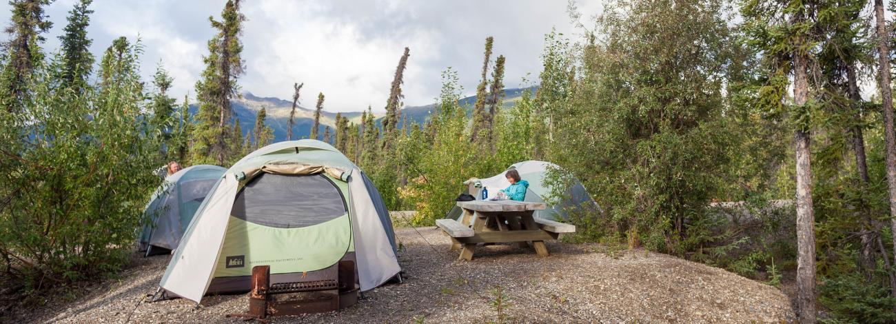 Campsite at BLM's Marion Creek Campground. A person sits at a picnic table surrounded by with three tents. The site is surrounded by boreal forest made up of skinny spruce trees and deciduous trees such as birch, willow and poplar.
