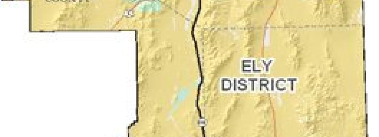 Ely District map
