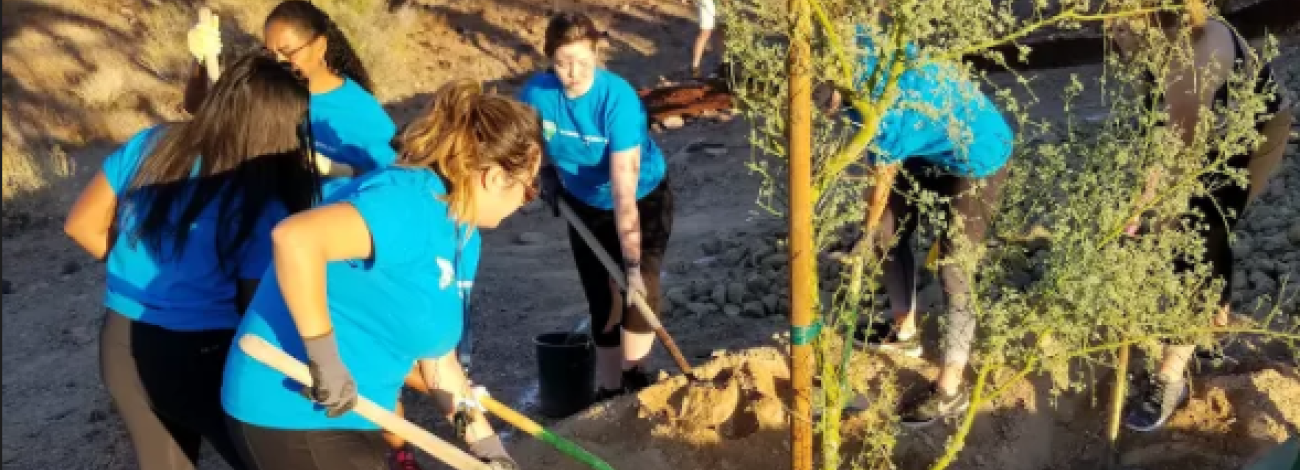 People wearing blue shirts volunteer outdoors.