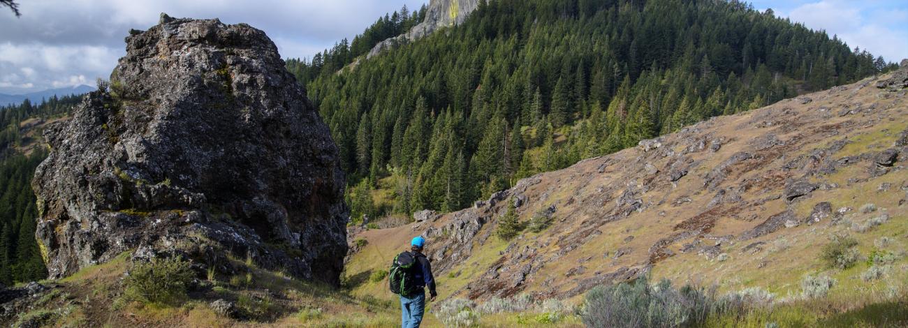 Hiker on Pacific Crest Trail in Oregon