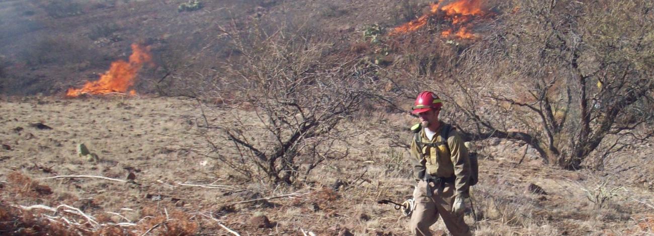 Firefighter wearing tan clothing and a red hardhat carries a backpack and a burn torch. Flames are visible in the background.