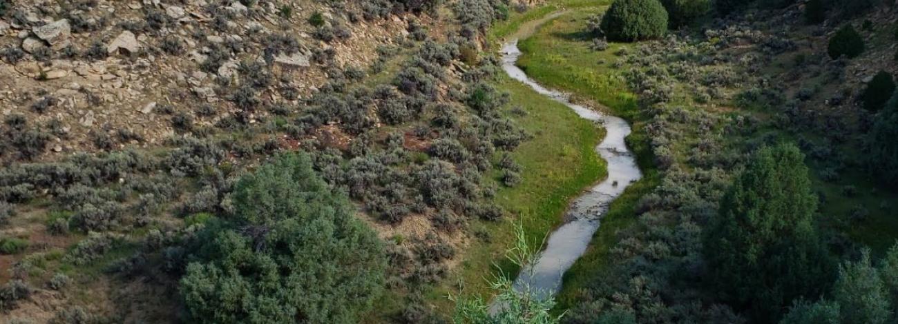 An overview of the Rio Nutrias Property in Taos New Mexico.