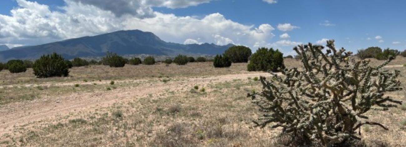 Photo from the Placitas Withdrawal Tracts by Jacob Nowell, Realty Specialist, Rio Puerco Field Office.