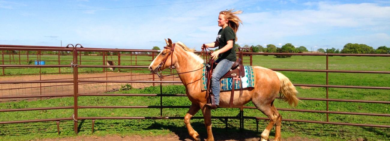 Girl riding horse along fence line. 