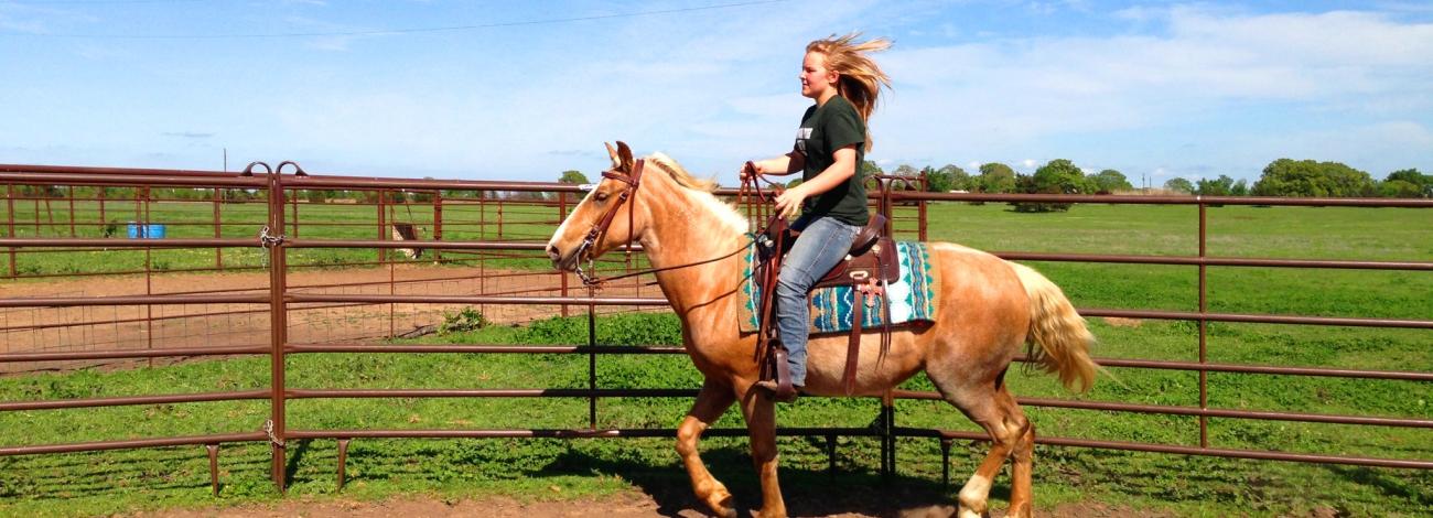 Girl riding horse along fence line.
