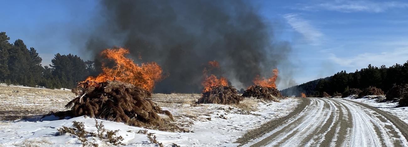 Slash piles burn along Billy Creek Road. 