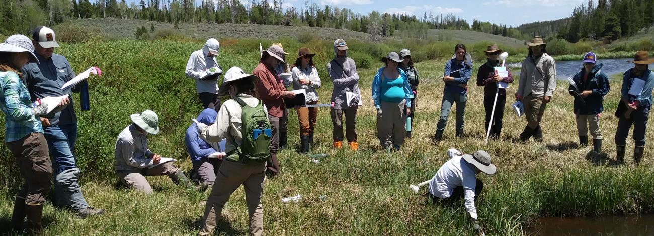 AIM BLM Riparian and Wetland Crew Training