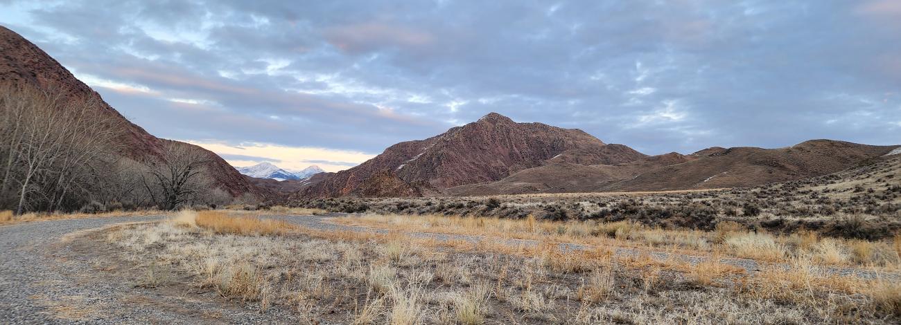 BLM Landscape