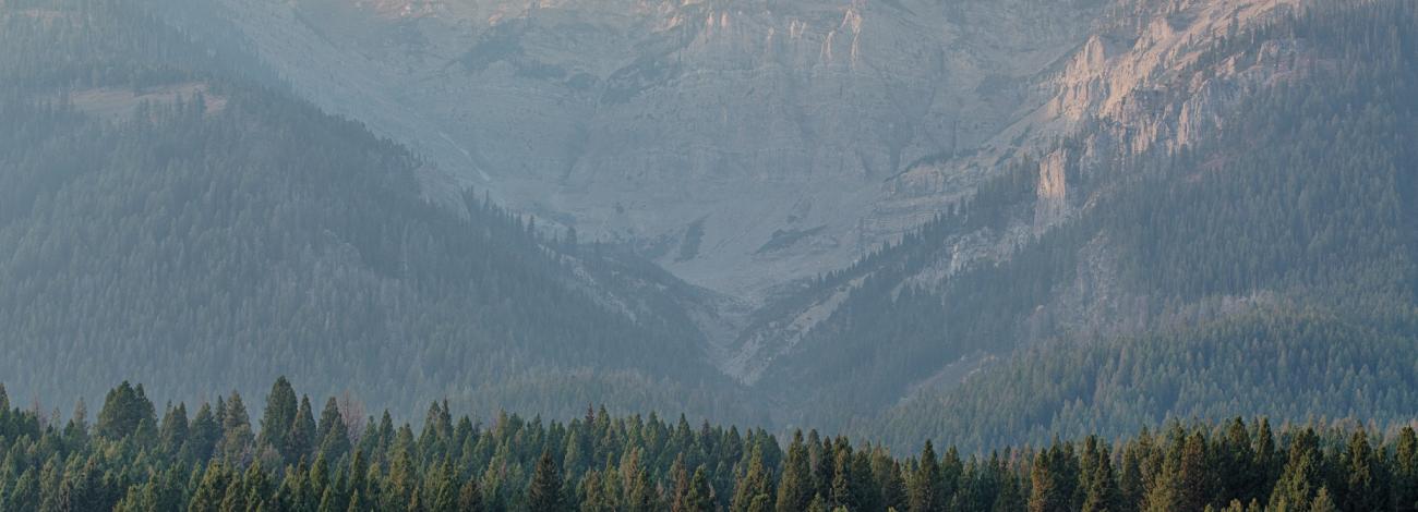 Centennial Wilderness